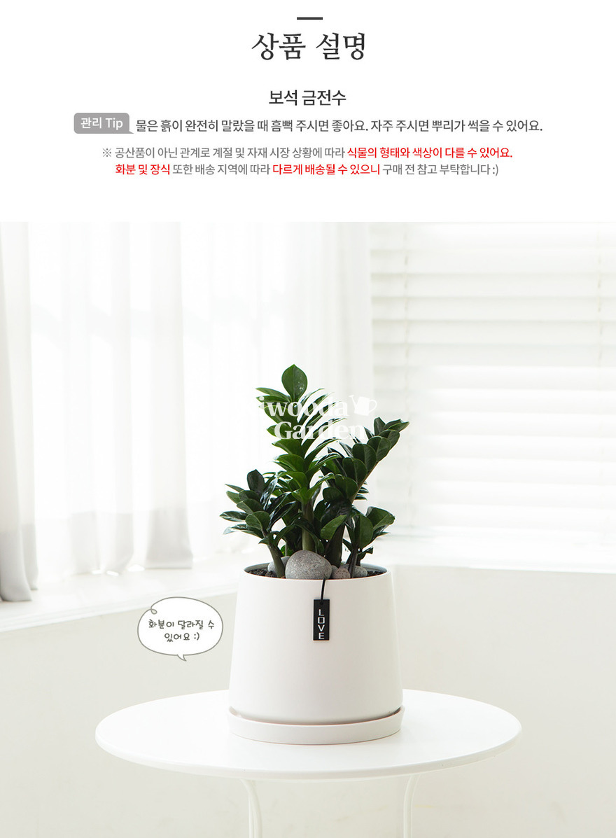 상세이미지