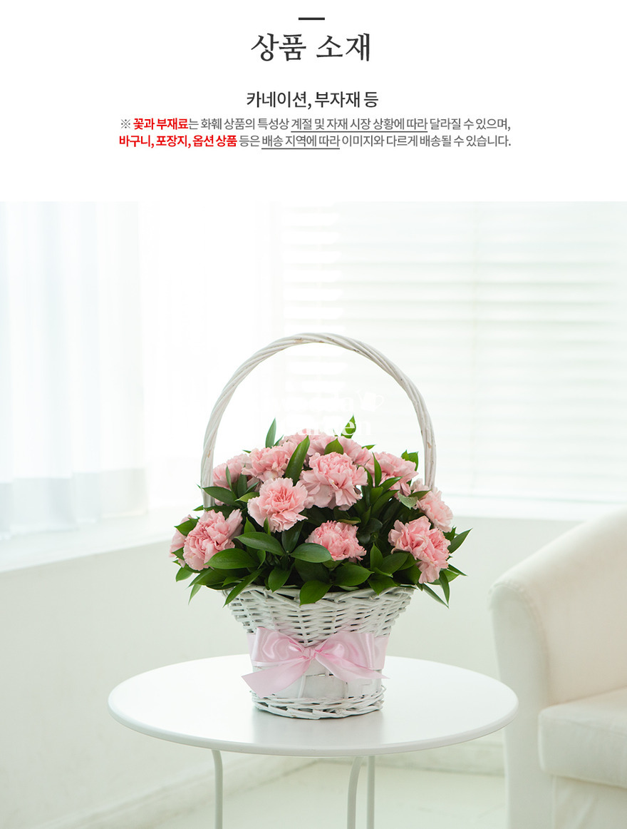 상세이미지