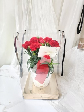 카네이션 화분 1개(예쁜페트쇼핑백포함)