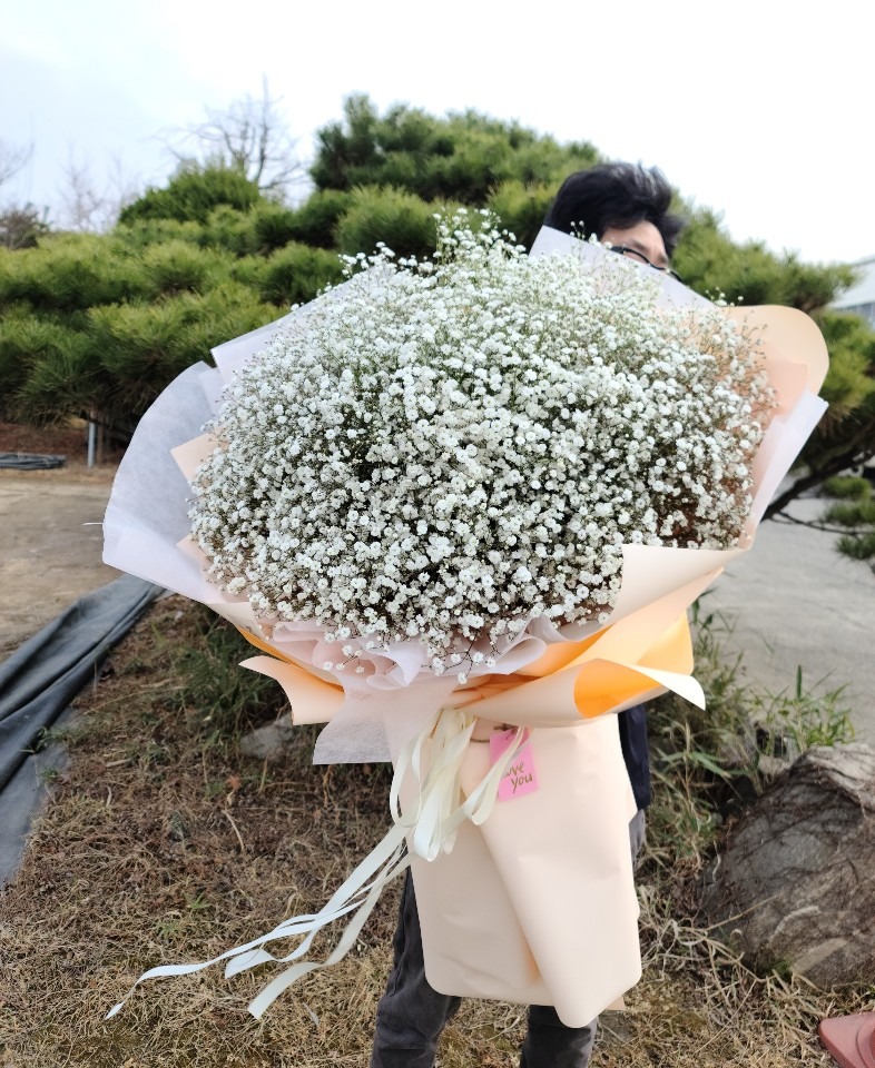 상세이미지