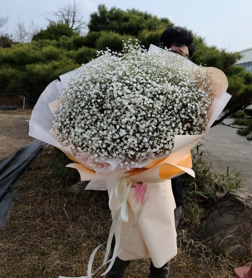 상세이미지