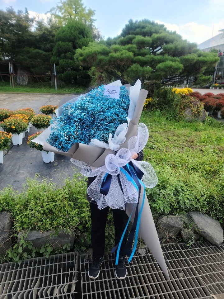 상세이미지