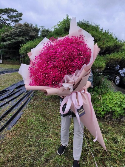 핑크안개 대형꽃다발