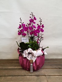 만천홍 고급보자기(서울경기인천전용)