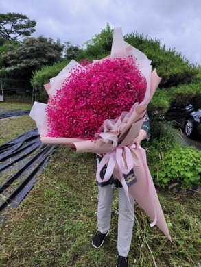 핑크안개 대형꽃다발