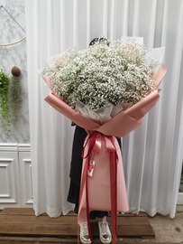 화이트안개 대형꽃다발(미리예약)