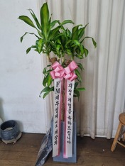 권량* 님 앞으로 배송된 상품입니다.