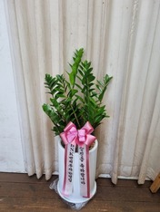 향우* 님 앞으로 배송된 상품입니다.