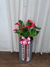 정성* 님 앞으로 배송된 상품입니다.