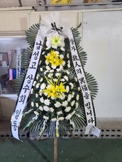 고인*이옆 님 앞으로 배송된 상품입니다.